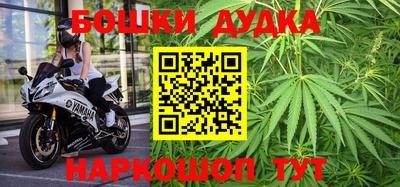 гидра Тулун