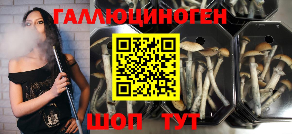 Галлюциногенные грибы Cubensis  Вход с VPN  Нефтекумск 